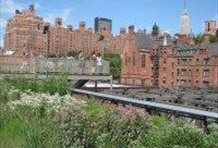 Cowboys and Cookies – the High Line Park Tour